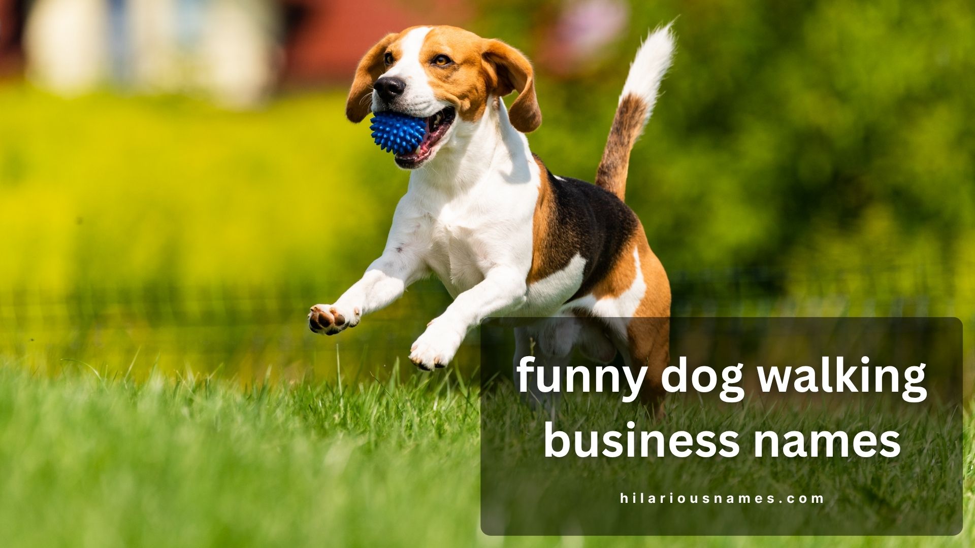 funny dog walking business names