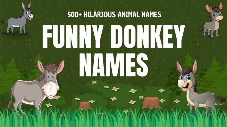 425+ Funny Donkey Names (Hilarious & Unique)