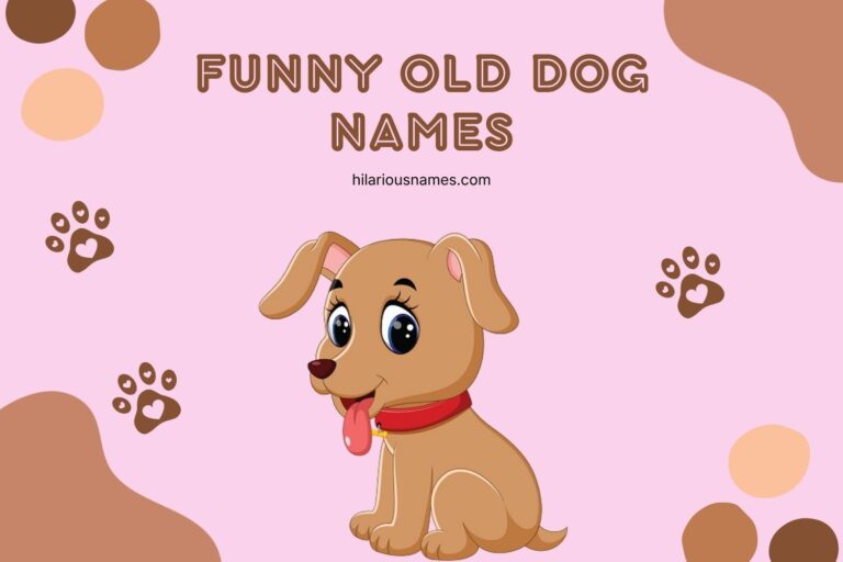 320+ Funny Old Dog Names (Hilarious & Heartfelt)