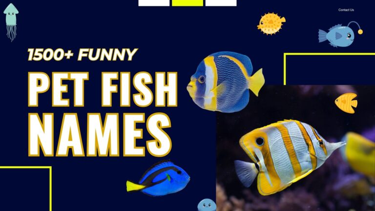 308+ Funny Pet Fish Names (Hilarious & Creative)