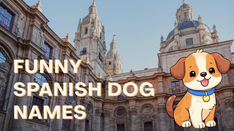 420+ Funny Spanish Dog Names (Chistosos & Divertidos)